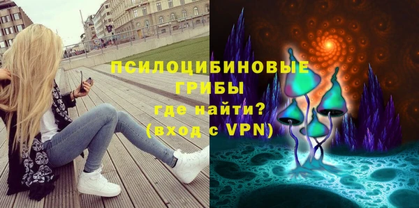 молекула духа Балахна