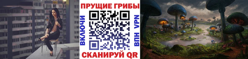 Галлюциногенные грибы GOLDEN TEACHER  Краснокаменск 